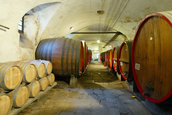 cellar of the tagliolo castle